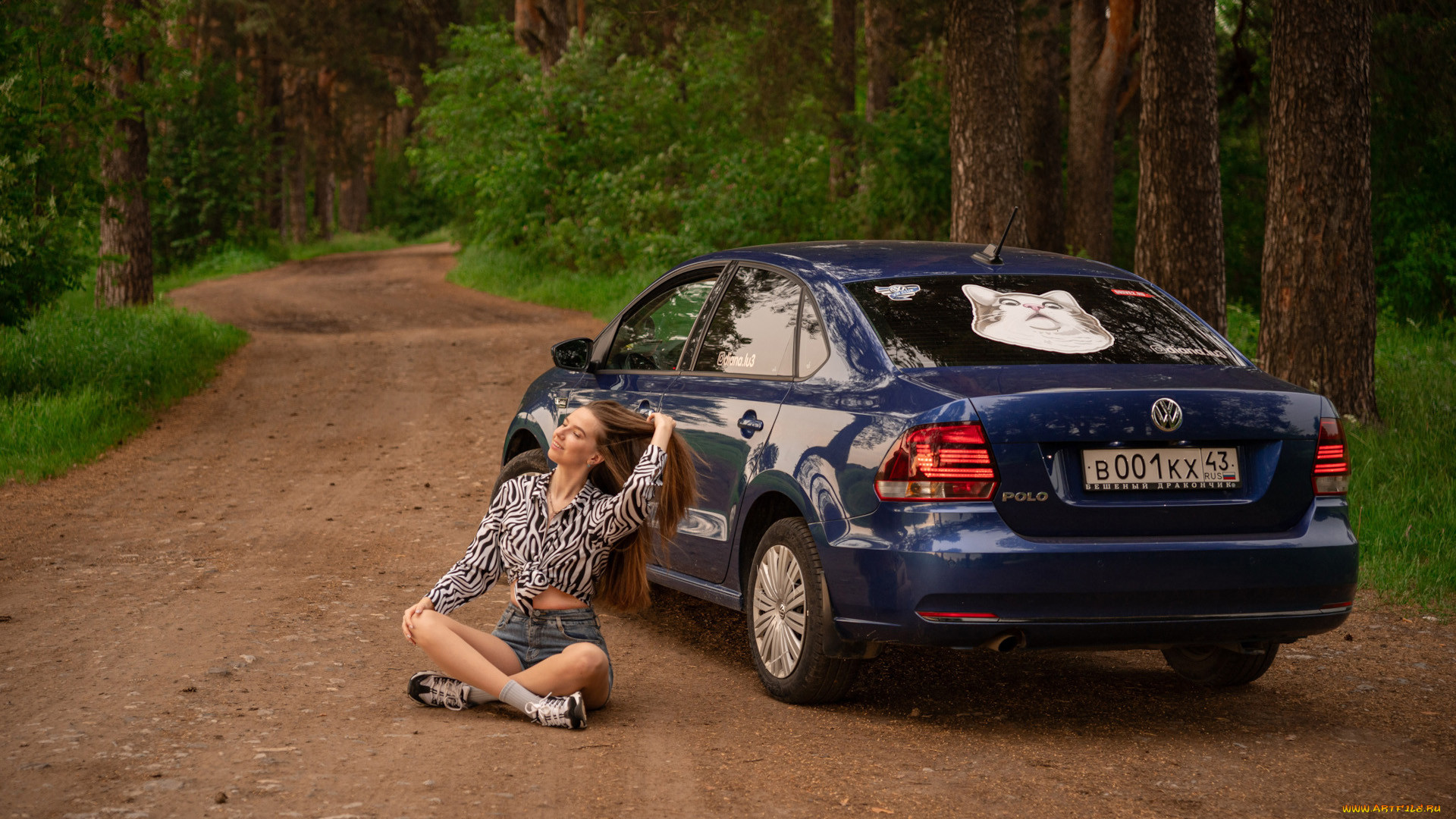 ����������, -���� � ���������, volkswagen, polo